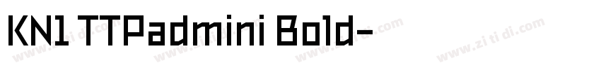 KN1 TTPadmini Bold字体转换